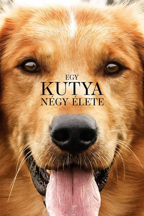 Egy kutya négy élete