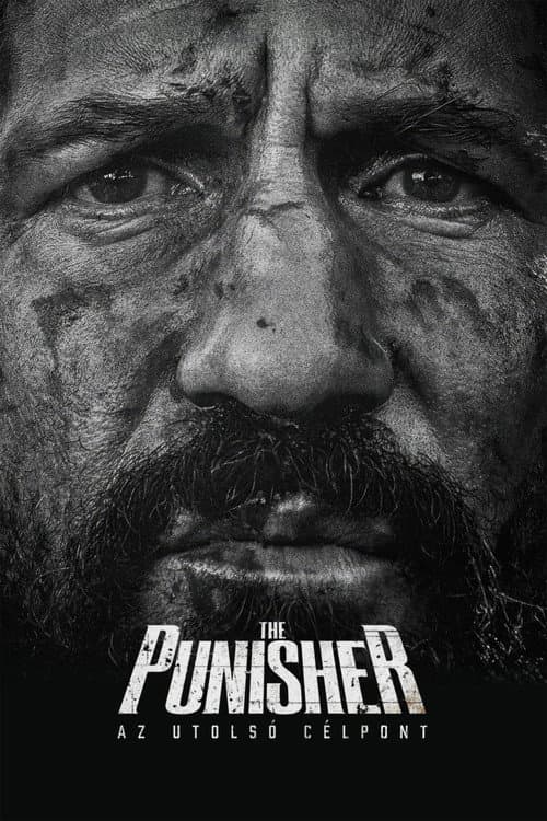 The Punisher: Az utolsó célpont