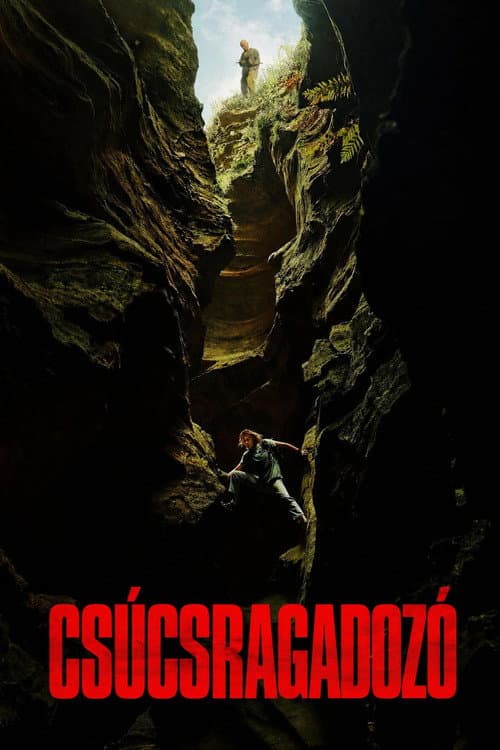 Csúcsragadozó